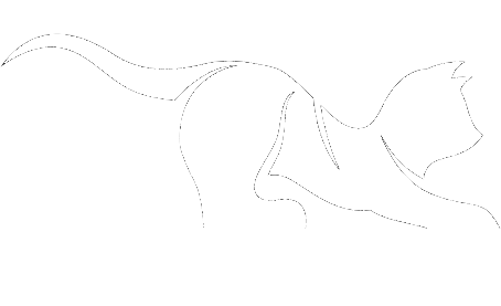 ViddhazAPP Logo